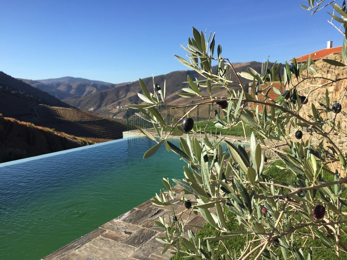 فندق Quinta Da Gricha Ervedosa do Douro المظهر الخارجي الصورة